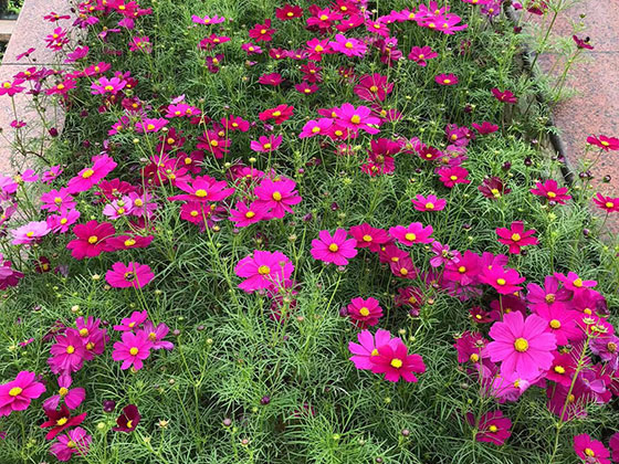 襄阳仿真花厂家|商住小区园林设计